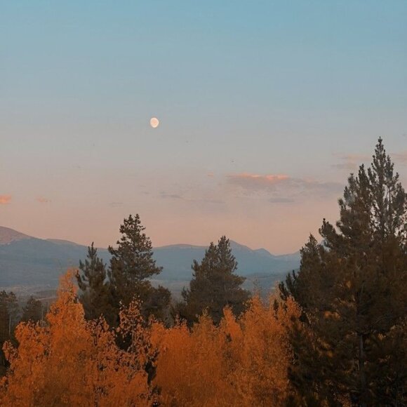 💕WELCOME!💕 - Picture 12 of 12